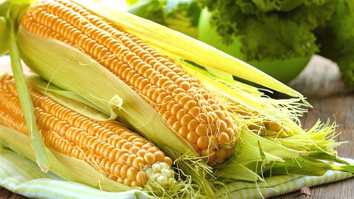 Выращиваем кукурузу
